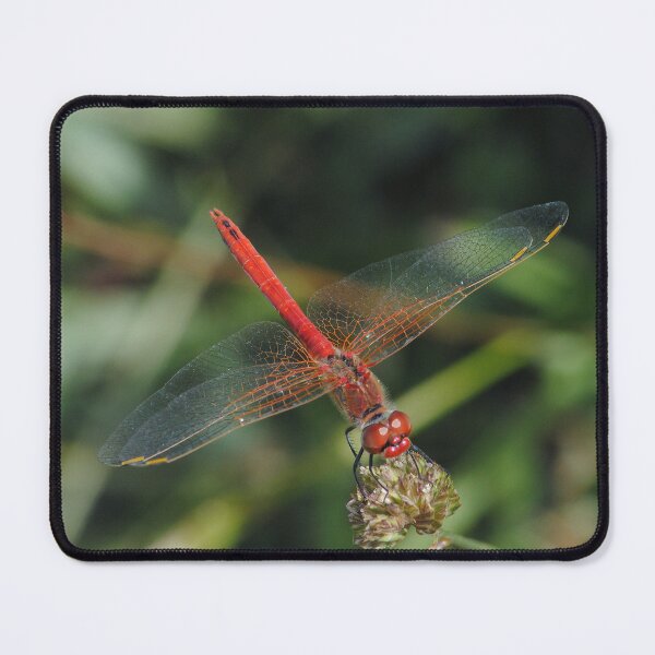 Item preview, Red Dragonfly designed and sold by iago rodriguez dopico.