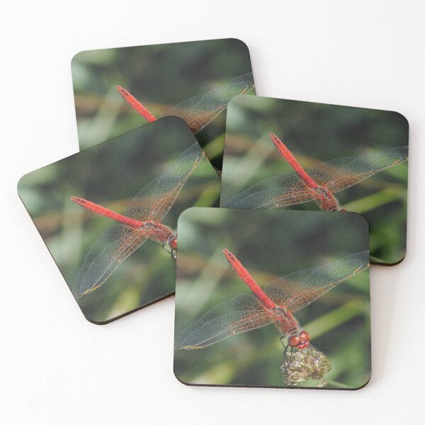 Item preview, Red Dragonfly designed and sold by iago rodriguez dopico.