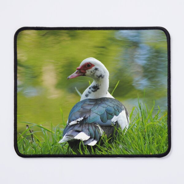 Item preview, Cairina moschata designed and sold by iago rodriguez dopico.
