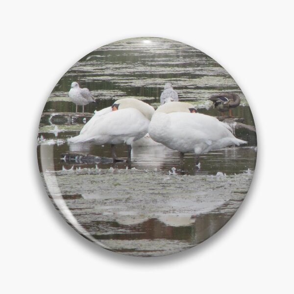 Item preview, Swans Stillife designed and sold by ArtOfE.
