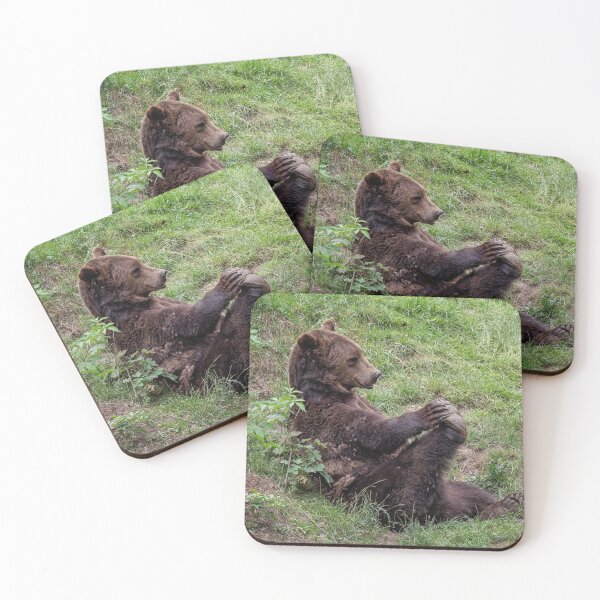 Item preview, Resting brown bear in the forest designed and sold by LubosChlubny.