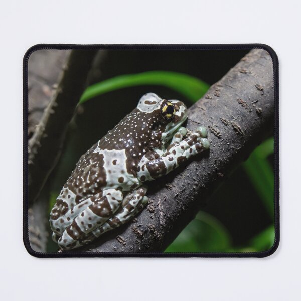 Item preview, Amazon milk frog on branch designed and sold by LubosChlubny.
