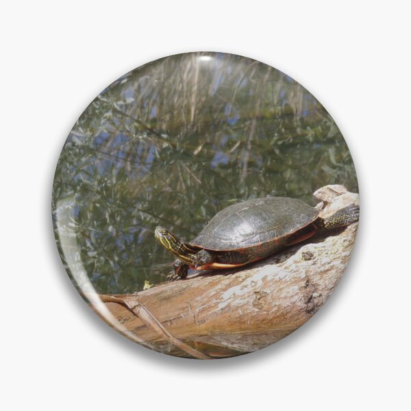 Item preview, Turtle in the Sun designed and sold by sebrahn.