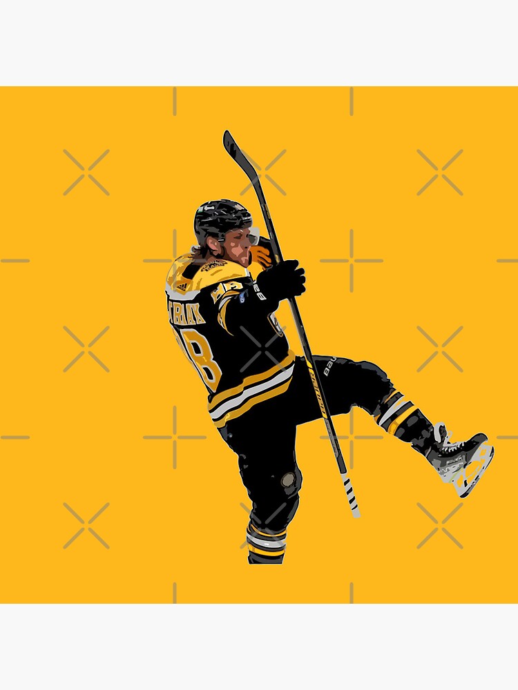 Hockey Fans David Pastrnak Boston Bruins Stanley Cup PASTA Hooded