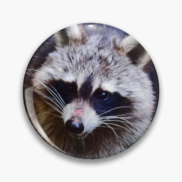 Item preview, A shy raccoon designed and sold by Glineur.