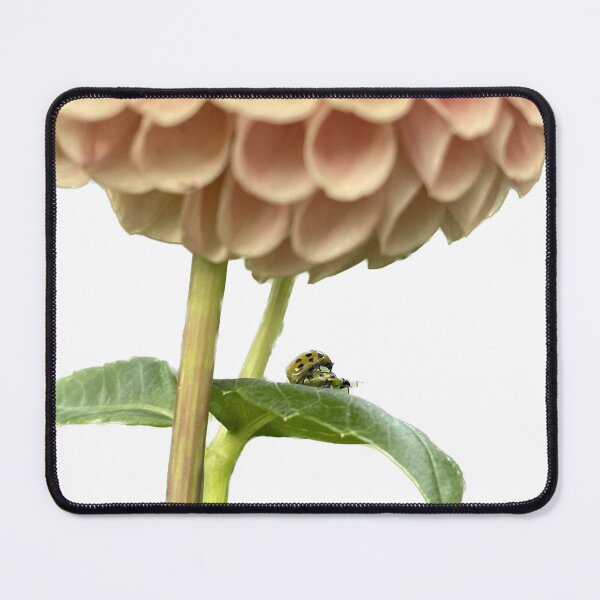 Item preview, Matting Beetles Flower designed and sold by crazyclover.