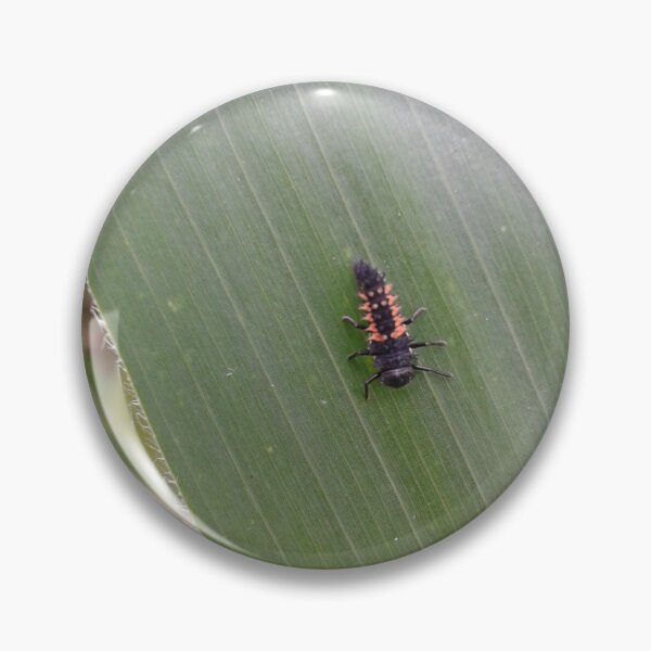 Item preview, Ladybird Larvae designed and sold by SandersSP-Merch.