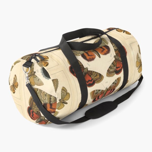 Item preview, Entomology Lepidoptera designed and sold by spikemet.