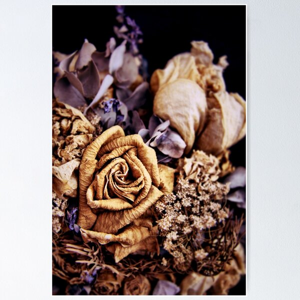 Poster Scattered dried flower petals background and rose 