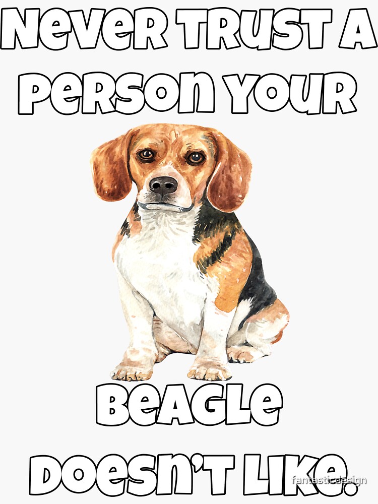 un beagle es una buena mascota