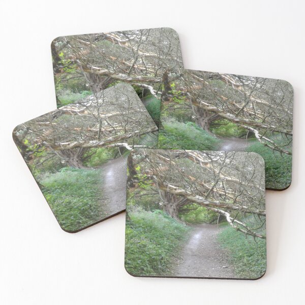 Item preview, Country Walk in Hampshire designed and sold by SandersSP-Merch.