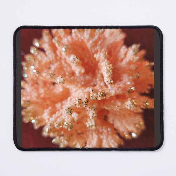 Item preview, Protect Sea Coral! designed and sold by WinningWorld.