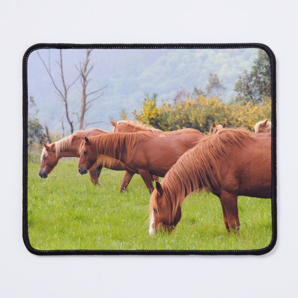 Item preview, Grazing Horses designed and sold by iago rodriguez dopico.