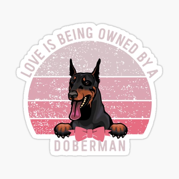 Doberman Lover Boyfriend Merch Gifts for Sale Redbubble