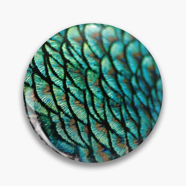 Item preview, peacock plumage designed and sold by iago rodriguez dopico.