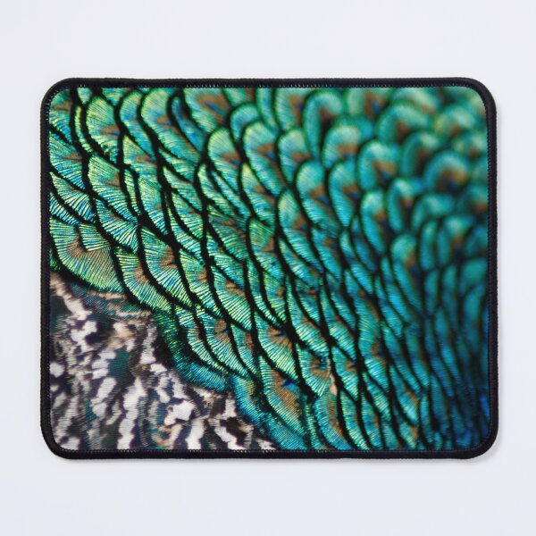 Item preview, peacock plumage designed and sold by iago rodriguez dopico.