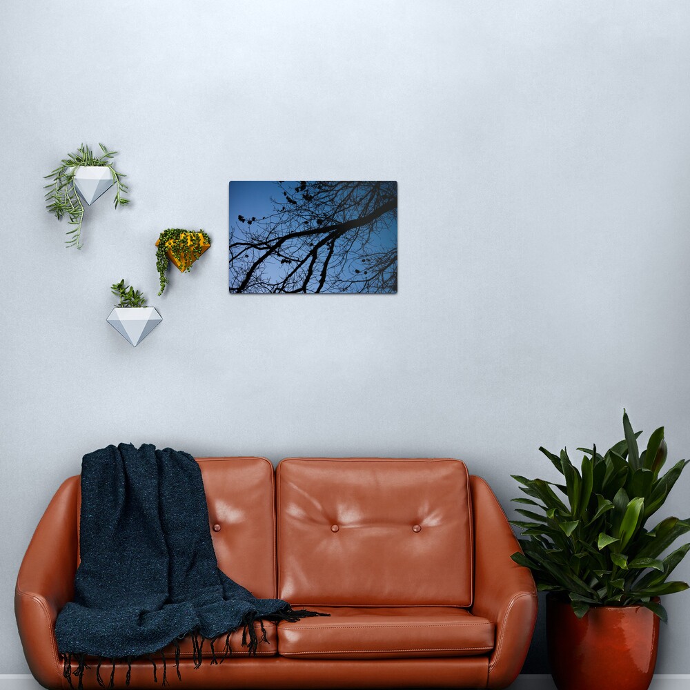 Tree in the pre-dawn light Metal Print