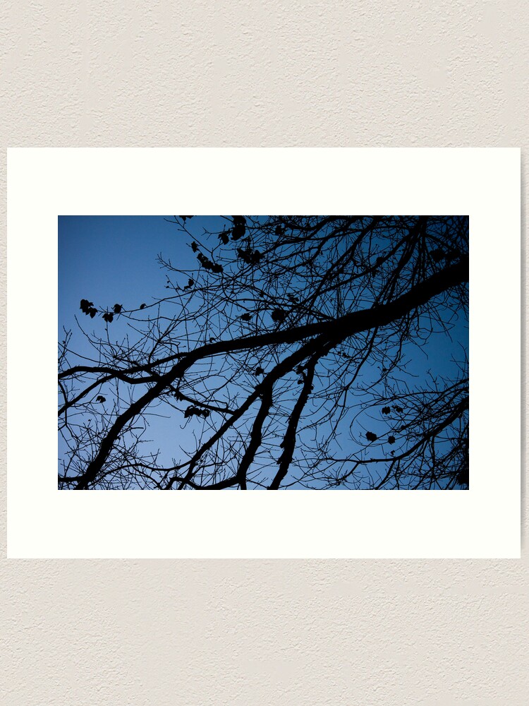 Alternate view of Tree in the pre-dawn light Art Print