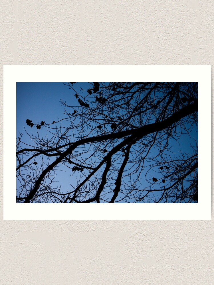 Alternate view of Tree in the pre-dawn light Art Print