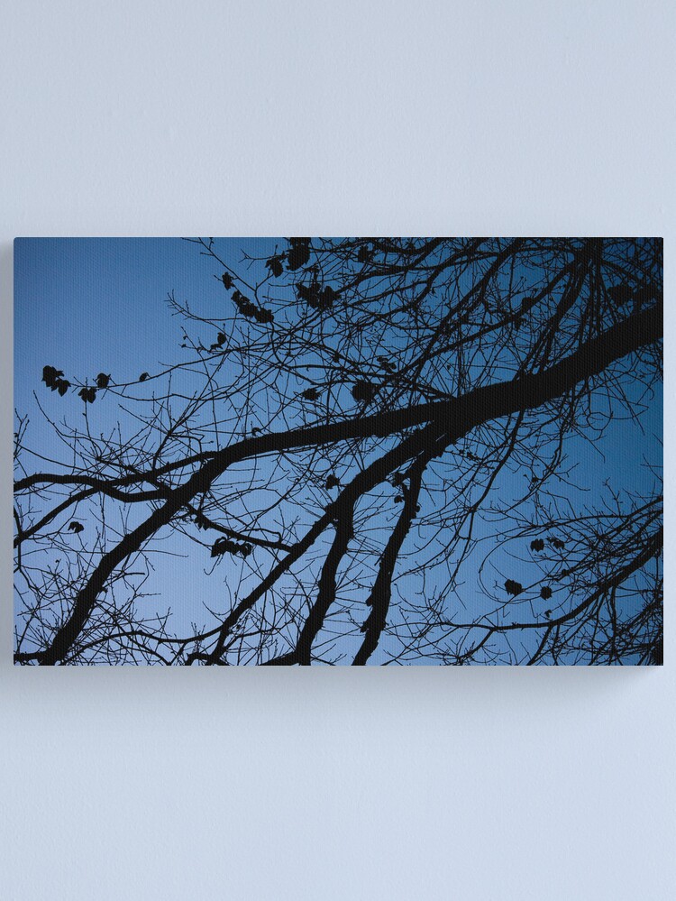 Thumbnail 1 of 3, Canvas Print, Tree in the pre-dawn light designed and sold by mistered.