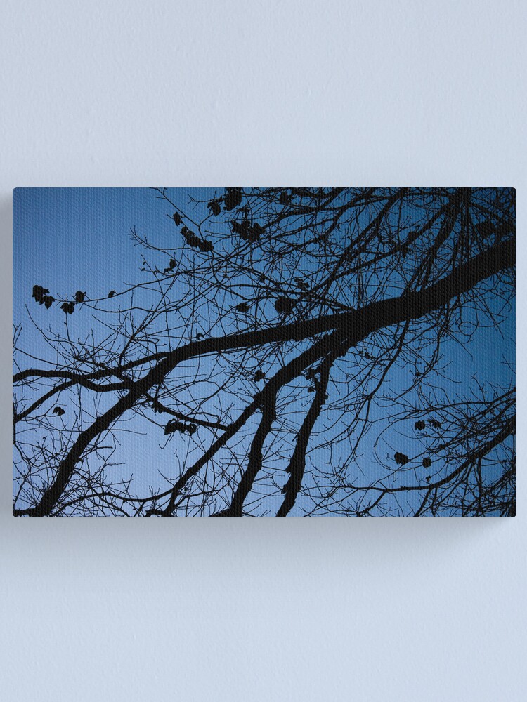 Alternate view of Tree in the pre-dawn light Canvas Print
