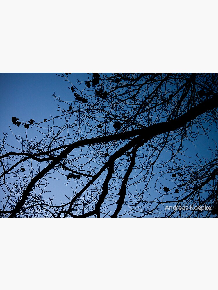 Thumbnail 2 of 2, Greeting Card, Tree in the pre-dawn light designed and sold by Andreas Koepke.