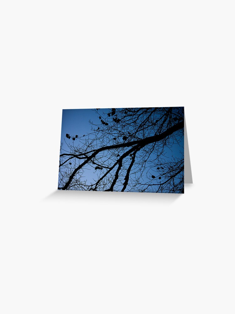 Greeting Card, Tree in the pre-dawn light designed and sold by Andreas Koepke