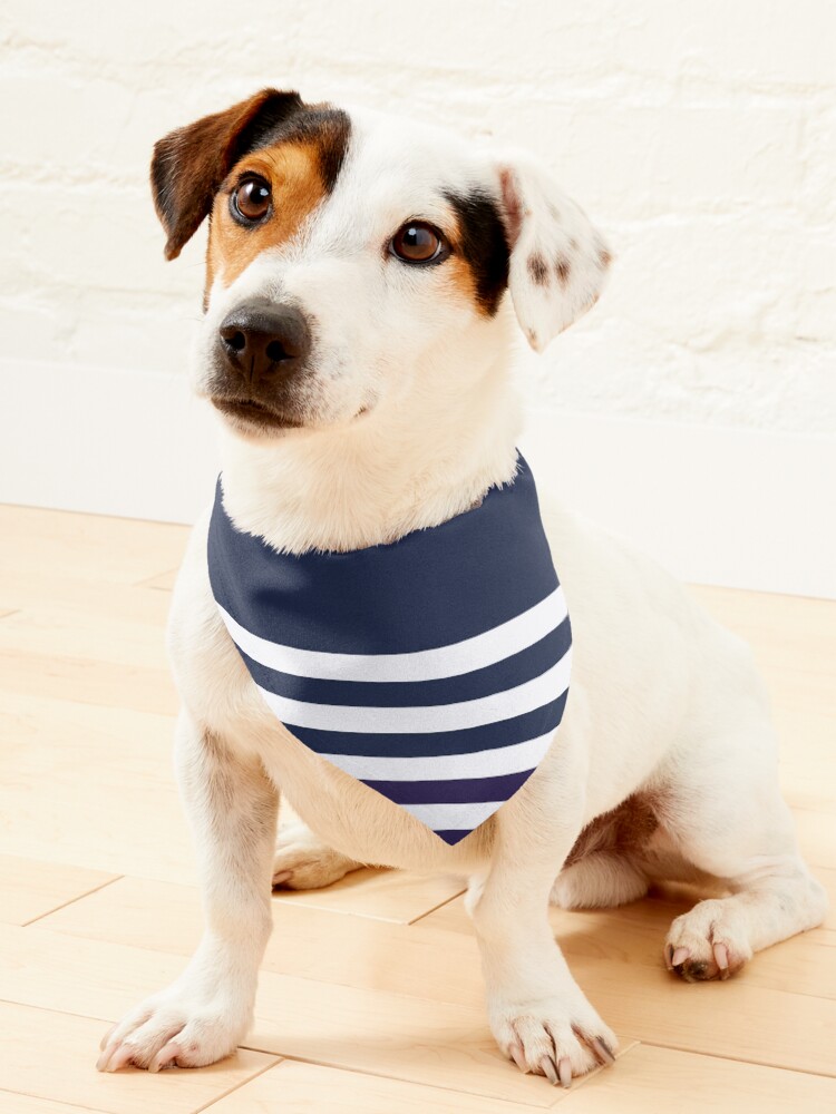 Navy blue dog outlet bandana