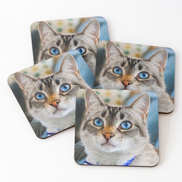 Item preview, blue eyed cat designed and sold by Batartiste.