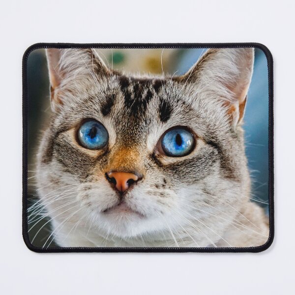 Item preview, blue eyed cat designed and sold by Batartiste.