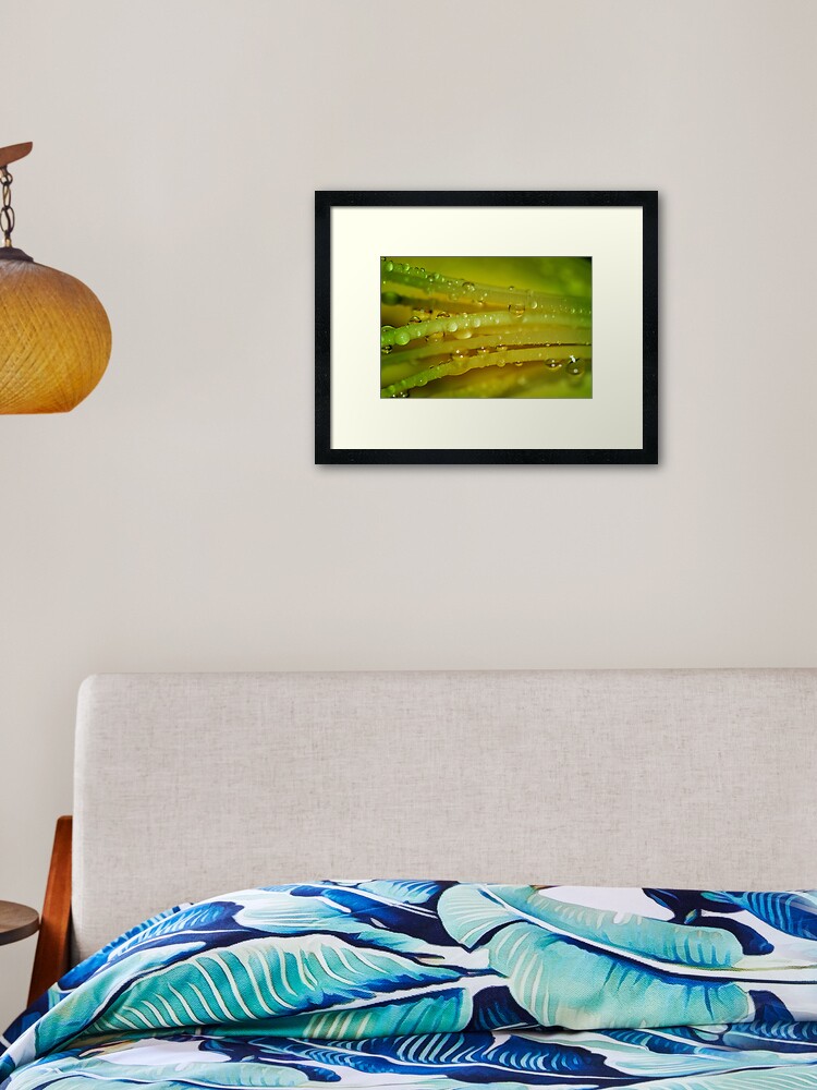 Thumbnail 2 of 7, Framed Art Print, Lemon Drops designed and sold by idnurse41.