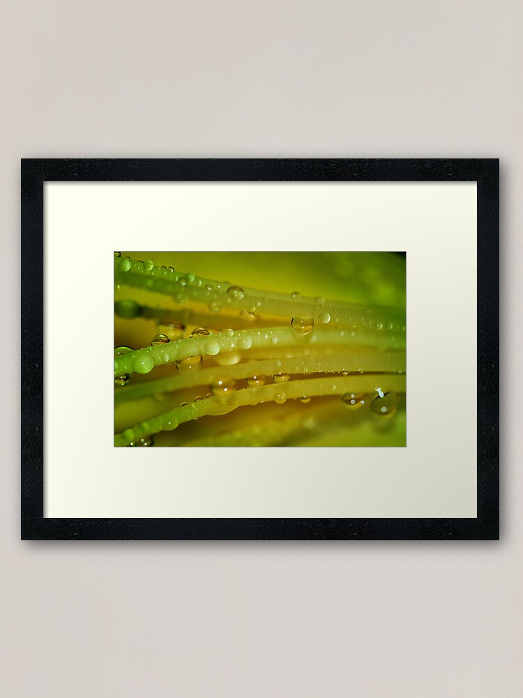 Thumbnail 1 of 7, Framed Art Print, Lemon Drops designed and sold by idnurse41.