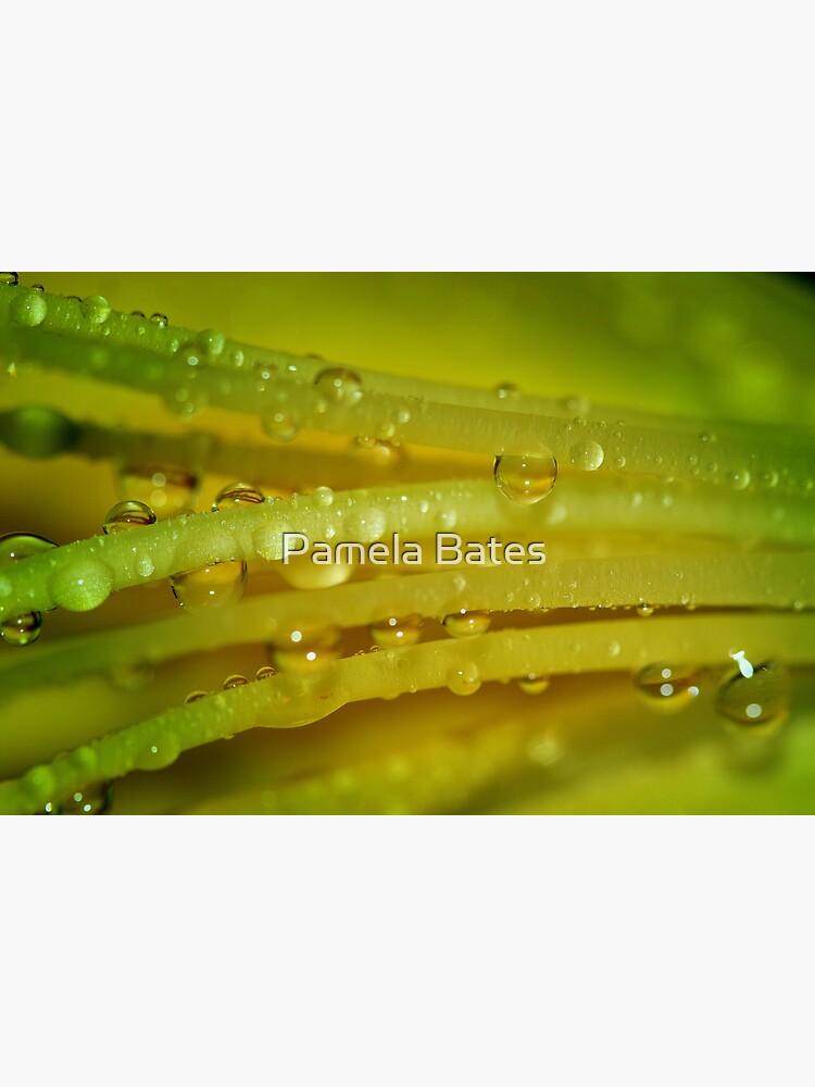 Thumbnail 7 of 7, Framed Art Print, Lemon Drops designed and sold by idnurse41.