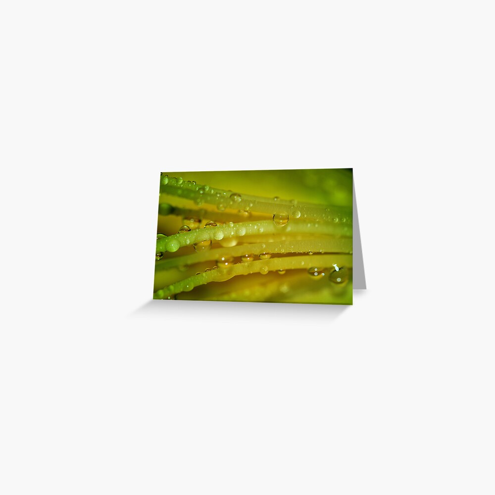 Item preview, Greeting Card designed and sold by idnurse41.