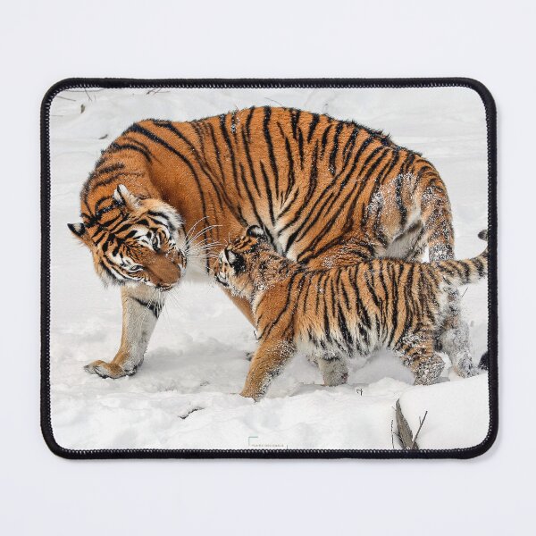 Item preview, Tigers Mother & Cub in Snow designed and sold by YunekOriginals.