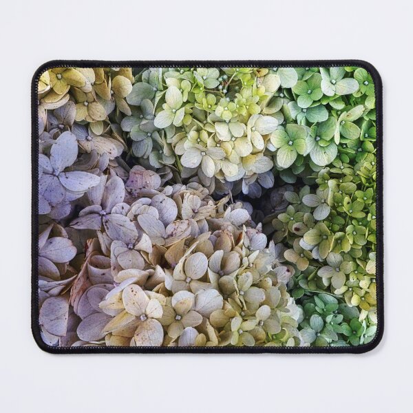 Item preview, Hydrangea Pastels designed and sold by Ladydi.