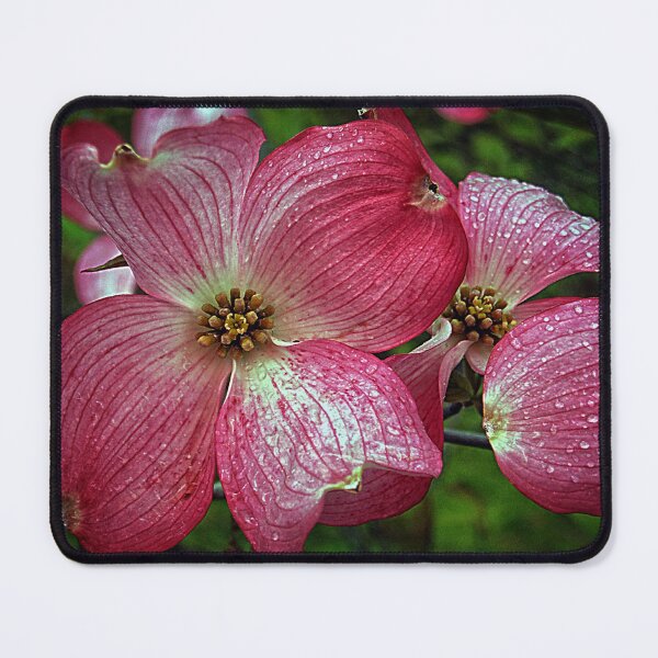 Item preview, Red Dogwood designed and sold by Ladydi.