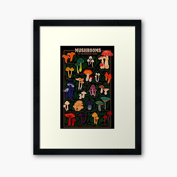 Item preview, Mushrooms of the Redwood Forest designed and sold by CattGDesigns.