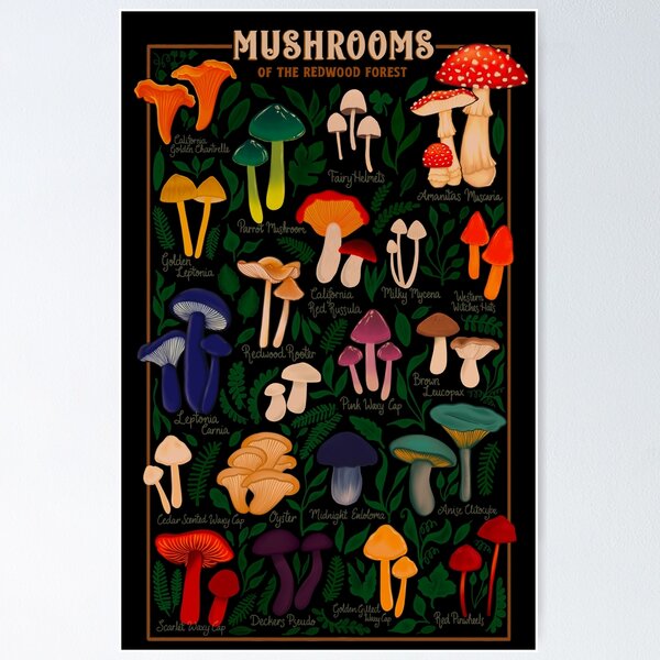 Item preview, Mushrooms of the Redwood Forest designed and sold by CattGDesigns.
