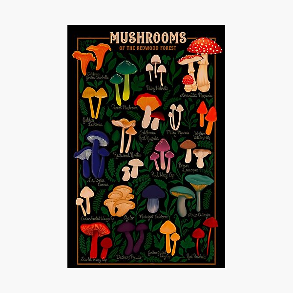 Item preview, Mushrooms of the Redwood Forest designed and sold by CattGDesigns.