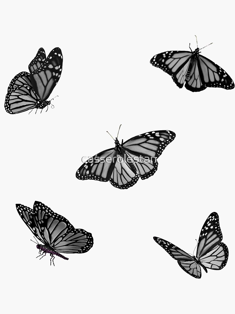Grayscale Butterfly Sticker Pack Sticker for Sale by piperbrantley