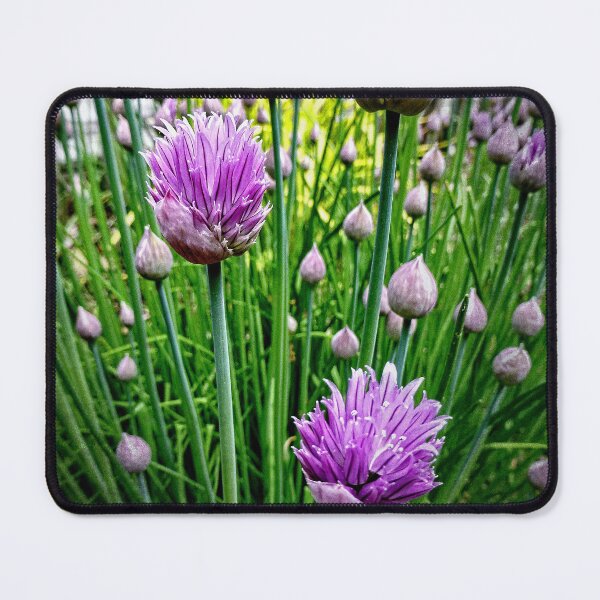 Item preview, Chive Buds designed and sold by Ladydi.
