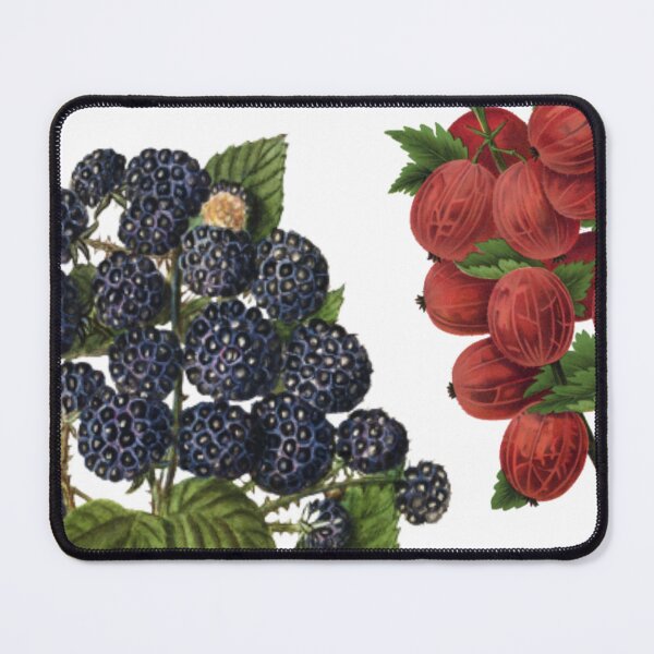 Item preview, Summer Berries designed and sold by ZinZoe.