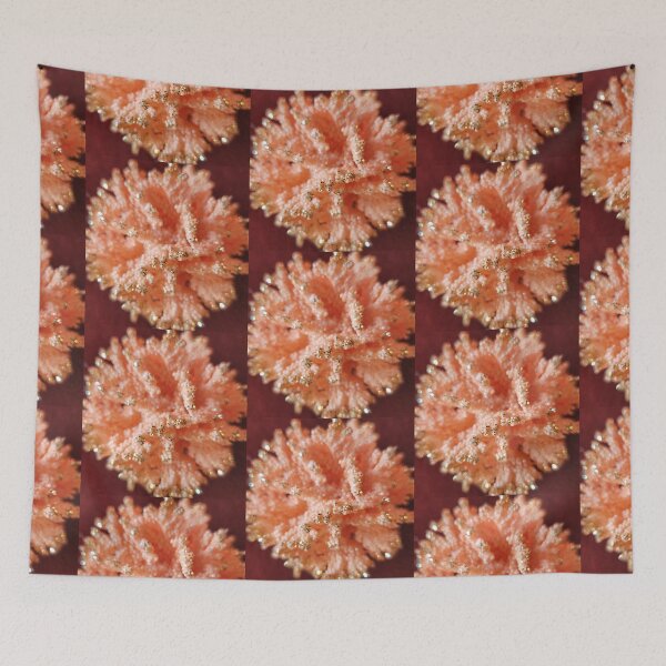 Item preview, Protect Sea Coral! designed and sold by WinningWorld.