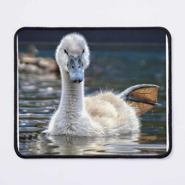 Item preview, Not such an Ugly Duckling designed and sold by CJWoolhead.