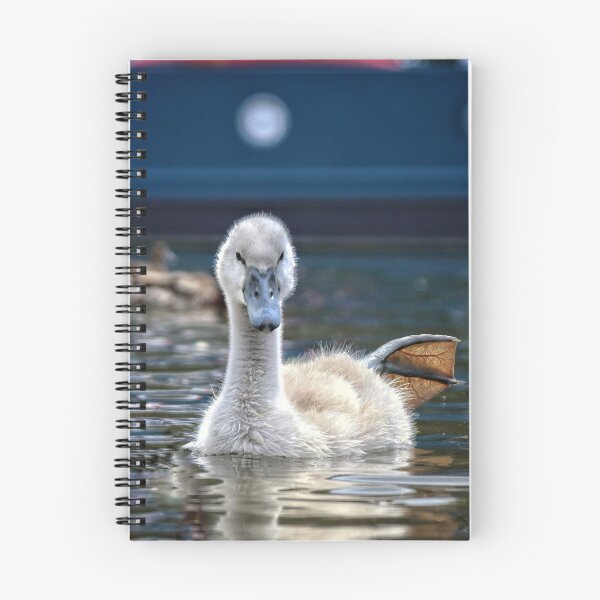 Item preview, Not such an Ugly Duckling designed and sold by CJWoolhead.