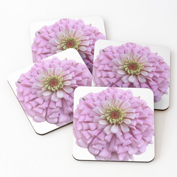 Item preview, Blush Pink Zinnia Flower designed and sold by crazyclover.