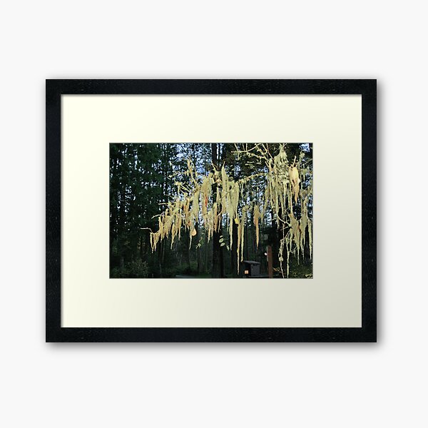 Item preview, "The Forest After The Sun Sets" designed and sold by Lynn Bawden.