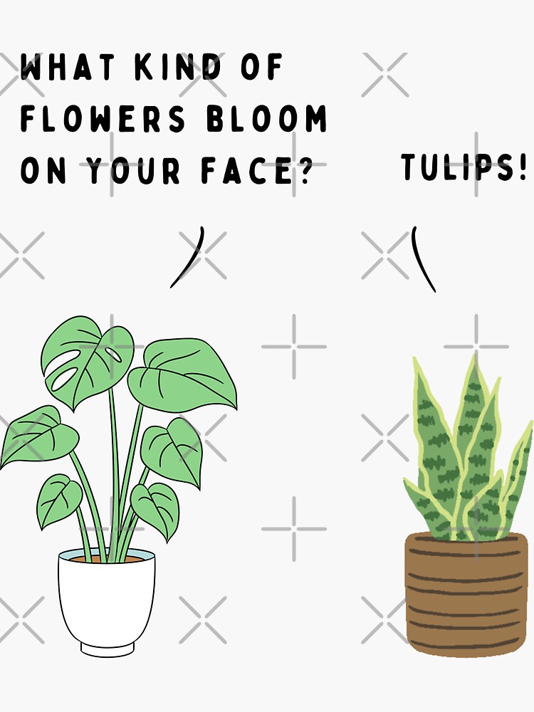 "Plant joke What kind of flowers bloom on your face? (colour