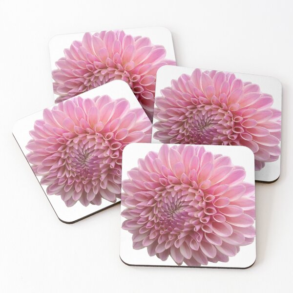 Item preview, Pink Coralie Dahlia Flower designed and sold by crazyclover.